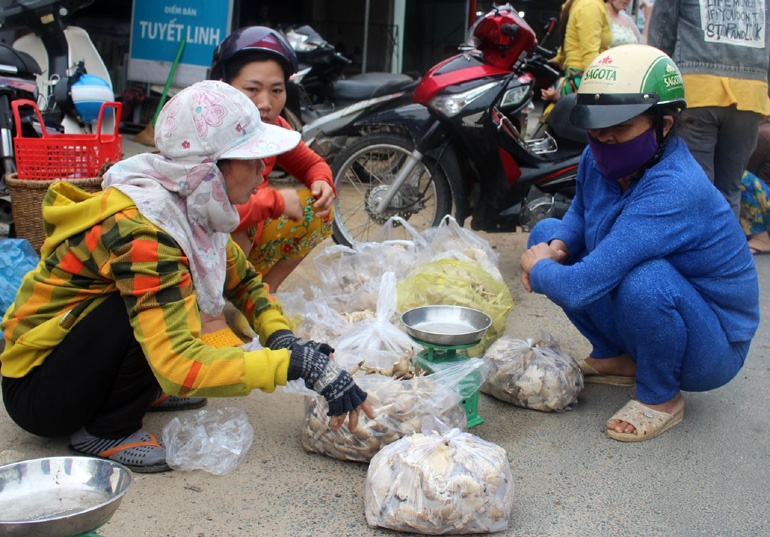 Bán nấm mối